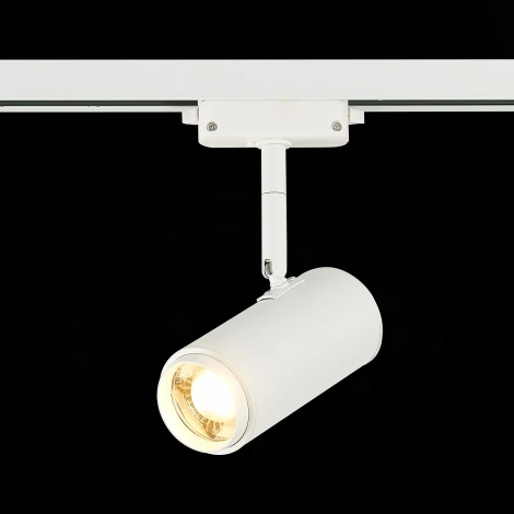 Трековый светильник ST Luce Zoom ST600.536.12 (LED, 220V, круглые)