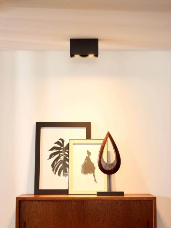 Накладной точечный светильник Lucide Bodi 09101/02/30 (220V)