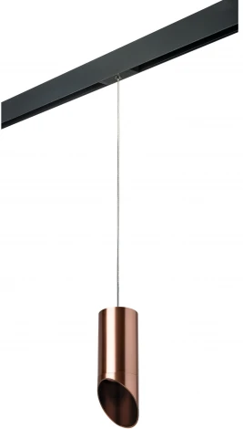 Трековый светильник однофазный 220V Lightstar Rullo PRORP43030 (круглые)