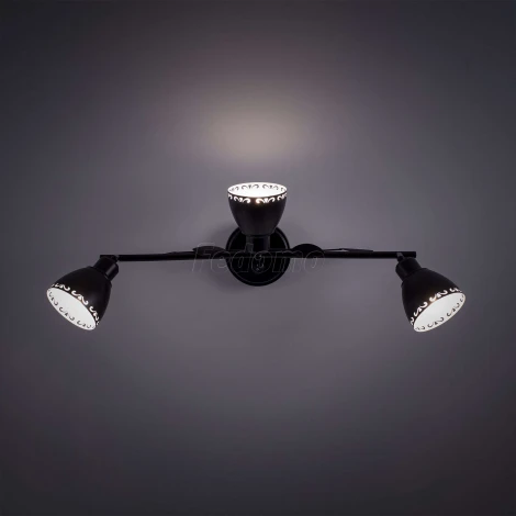 Спот Citilux Робуста CL509532