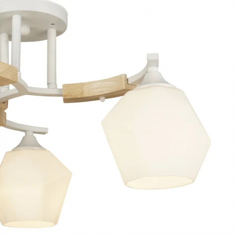 Потолочная люстра Wedo Light Lalio 66587.01.09.03