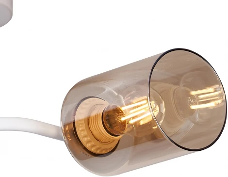 Потолочная люстра на штанге ILLUMICO IL8148-2COU-79 WH GD Bice (220V)