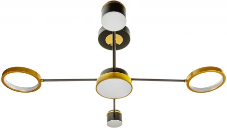 Потолочная люстра на штанге светодиодная Ritter Notte 51595 5
