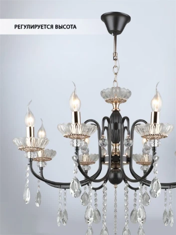 Подвесная люстра Wedo Light Dzhana WD3630/8H-CF-FGD-CL