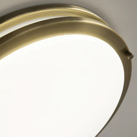 Настенно-потолочный светильник Citilux Бостон CL709323N (LED, 220V, диммер, круглые, IP44)