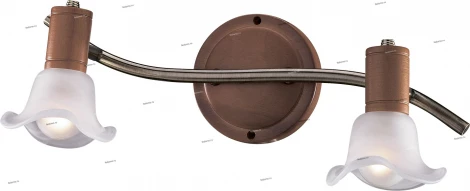 Спот Odeon Light Trum 1967/2W