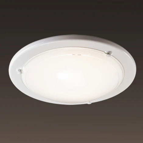 Настенно-потолочный светильник Sonex Riga 211