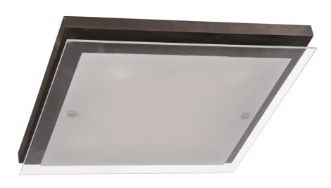 Настенно-потолочный светильник Дубравия Эко 106-41-24/2H