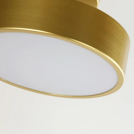 Потолочный светильник круглый F-Promo Atma 3059-2P (LED, 220V, круглые)