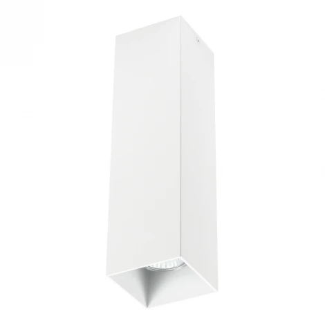 Накладной точечный светильник Lightstar Rullo 216596 (220V)