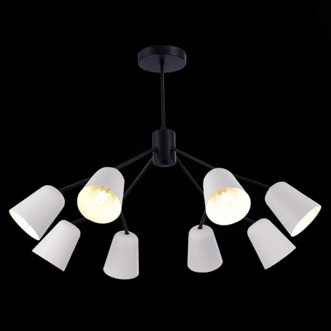 Потолочная люстра на штанге Evoluce Mario SLE155942-08