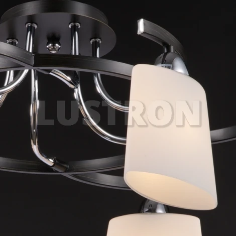 Потолочная люстра Maytoni Eurosize 2 TOC002-06-N