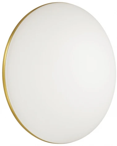 Настенно-потолочный светильник Sonex Lassa 3043/DL (регулировка яркости, LED, 220V, пульт управления, управление смартфоном, умный дом - LampSmart, круглые, IP43)