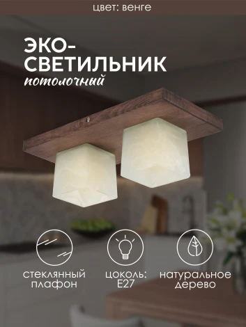 Потолочный светильник прямоугольный Мелодия Света SS1N 000036812