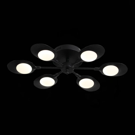 Потолочная люстра ST Luce Farfalo SL824.402.06