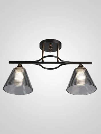 Потолочная люстра на штанге Мелодия Света SL1N SL8516-2 CF+GD 000066025