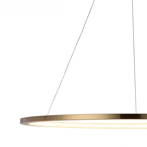 Подвесной светильник Loft IT Ring 10014XL (LED, 220V, на тросе, кольцо)