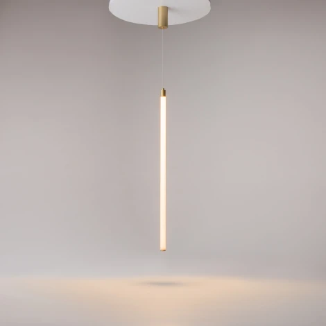 Подвесной светильник Ray 3000К 20Вт LED Maytoni Technical P022PL-L20G3K (220V, на проводе, круглые)