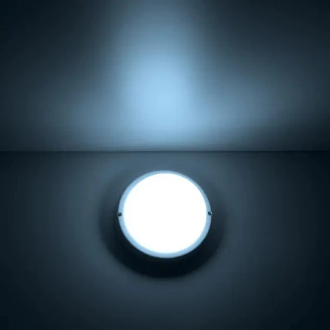 Накладной точечный светильник Gauss Сауна 126411308