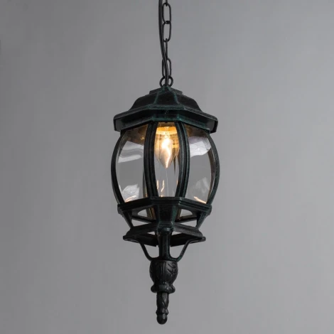 Уличный светильник подвесной Arte Lamp Atlanta A1045SO-1BG