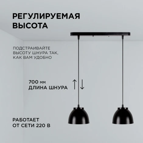 Подвесной светильник 2хЕ14 мах 40Вт металл черный (1113/2) Apeyron 16-63