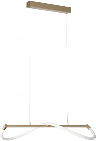 Подвесной светильник с гибким неоном Citilux Eva CL210112 (LED, 220V, на проводе)