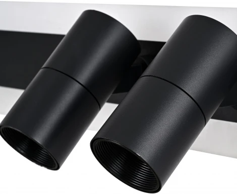 Спот Favourite Trick 4079-2C (LED, 220V, пульт управления)