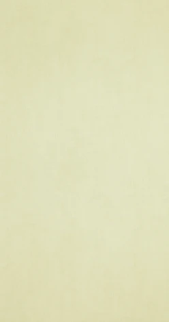 Рулонные обои BN International BN 218504