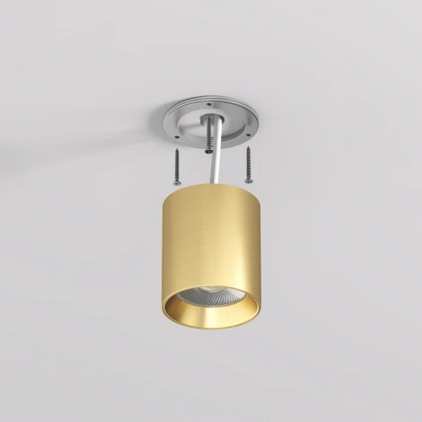 Накладной светильник Denkirs Shine Tube DK2610-SB 10W сатинированная латунь