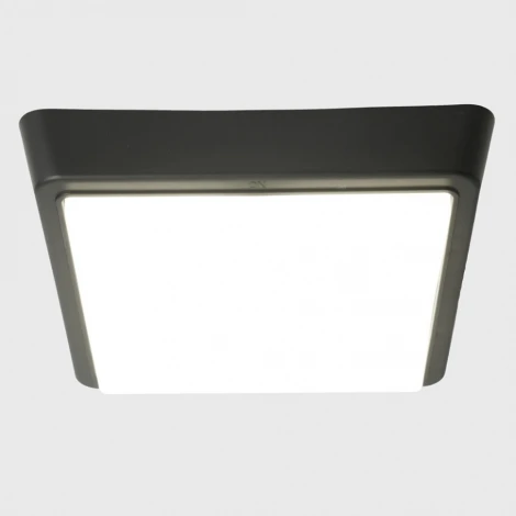 Светильник накладной светодиодный Feron AL3021 51477