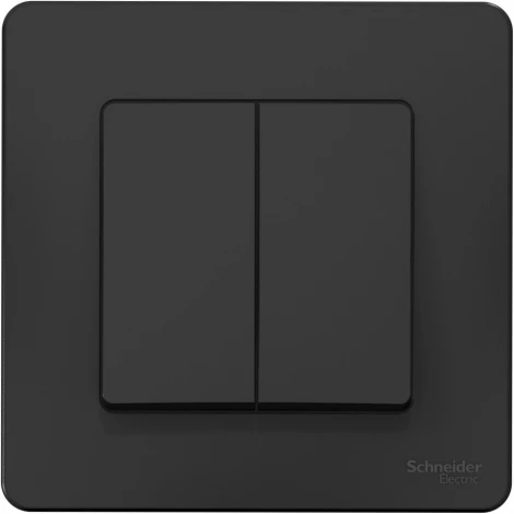 Выключатель встраиваемый двухклавишный (антрацит) Systeme Electric Blanca BLNVS010506