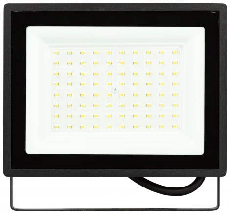 Прожектор уличный светодиодный ЭРА LPR-02 LPR-023-0-65K-070