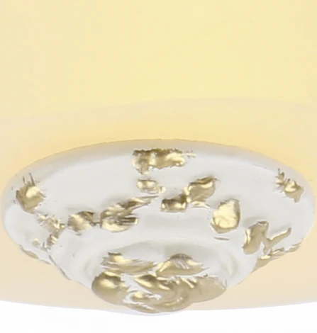 Потолочный светильник Arte Lamp Torta A7151PL-2WG