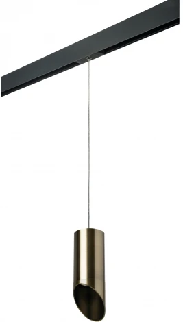 Трековый светильник однофазный 220V Lightstar Rullo PRORP431431 (круглые)