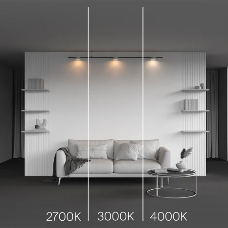 Трековый светильник магнитный 12W 24V Maytoni Zon TR189-1-12W3K-BW (LED, круглые)