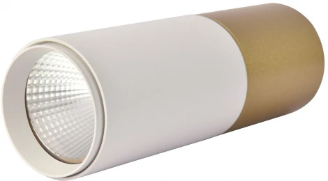 Точечный светильник накладной Favourite Deepak 3073-1C (LED, 220V, круглые)