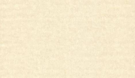 Обои виниловые Marburg Padua Classic 57310 10,05 x 1,06 м