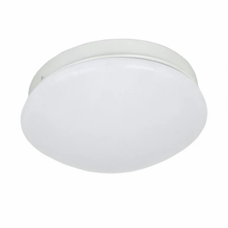 Потолочный светильник F-Promo Ledante 2469-1C