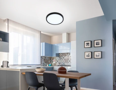 Потолочный светильник круглый светодиодный Ambrella ORBITAL FZ1953 (220V, круглые, IP54)