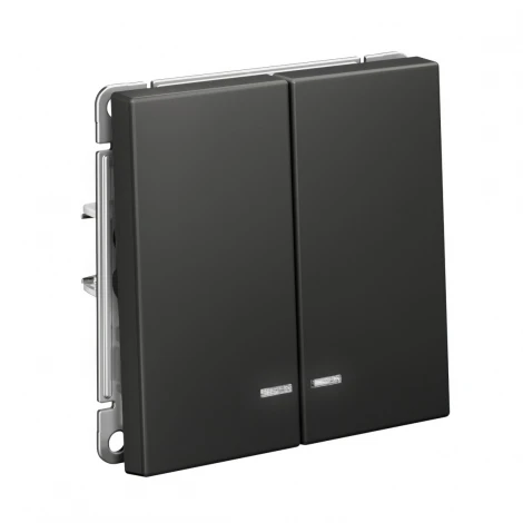 Выключатель двухклавишный с подсветкой (базальт) Systeme Electric GAL001453