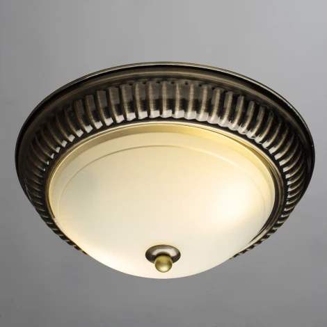 Потолочный светильник Arte Lamp Alta A3016PL-2AB