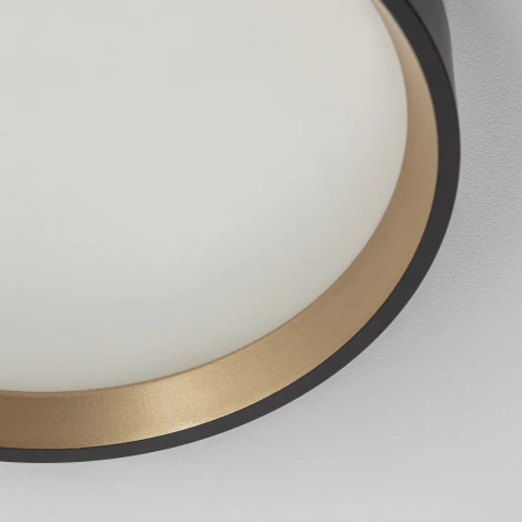 Настенно-потолочный светильник с подсветкой Черный+Золото Citilux Etalon CL750181 (LED, 220V, круглые, IP40)