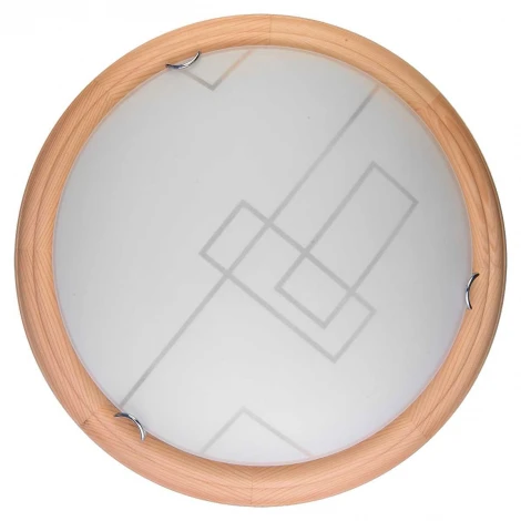Настенно-потолочный светильник Toplight Debora TL9540Y-00PN