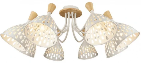 Потолочная люстра Wedo Light Gudi 66656.01.09.08