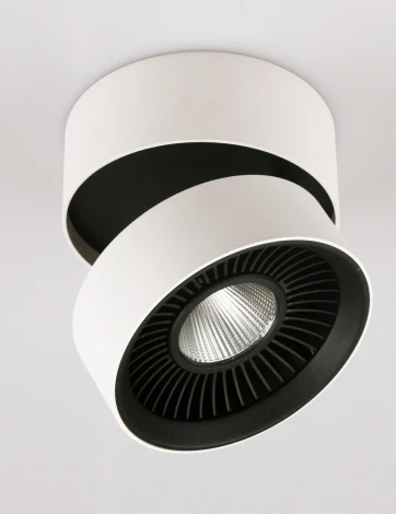 Настенно-потолочный светильник Donolux DL18409 DL18409/11WW-R