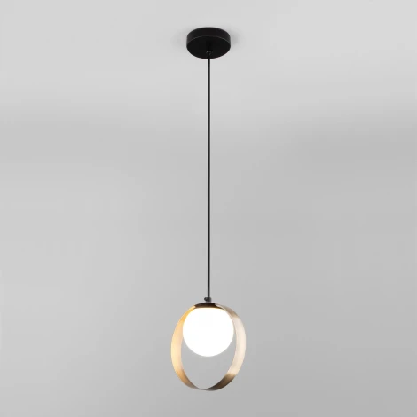 Подвесной светильник Eurosvet Dublin 50205/1 черный/бронза (220V, на проводе, шар, кольцо)