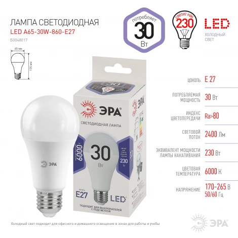 Лампочка светодиодная E27 30W ЭРА LED A65-30W-860-E27