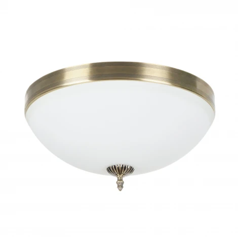 Потолочный светильник круглый MyFar Biene MR1528-4C (220V, круглые)