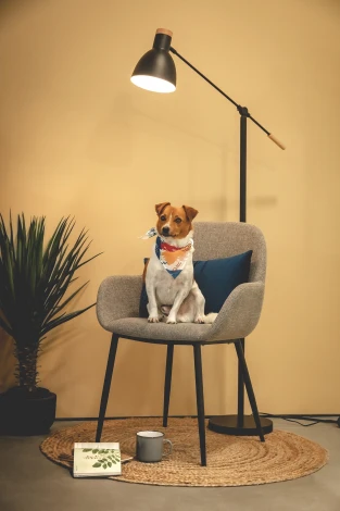 Обеденный стул La Forma (ex Julia Grup) Konna (Серый/ Металл,Пена,Сталь,Фанера)