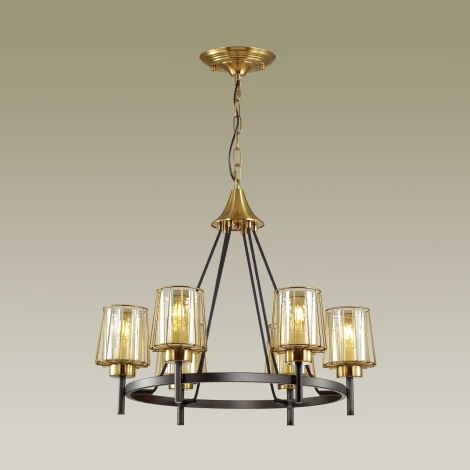 Подвесная люстра Odeon Light Dogana 4656/6
